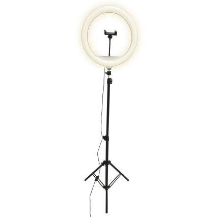 LED Lampada dimmerabile con treppiede e supporto per vlogging LED/15W/5V 2700-6500K