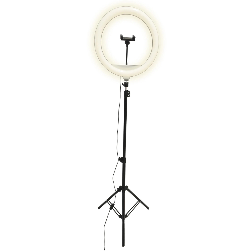 LED Lampada dimmerabile con treppiede e supporto per vlogging LED/15W/5V 2700-6500K