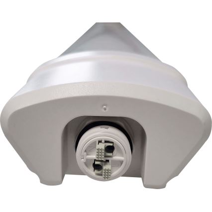 LED Lampada fluorescente DAISY LED/40W/230V 4000K IP65