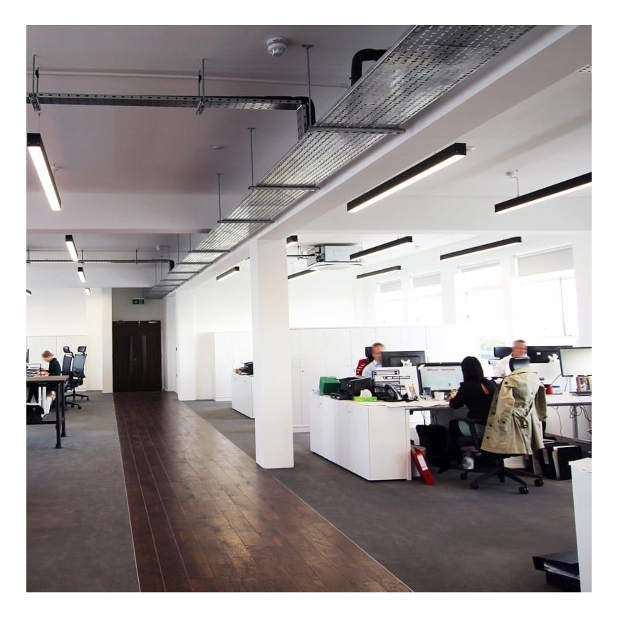 LED Lampadario su cavo LED/44W/230V 6000K 120 cm nero