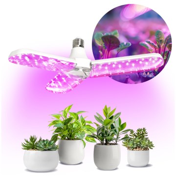LED Lampadina per la crescita delle piante PLANTY E27/24W/230V 1200K