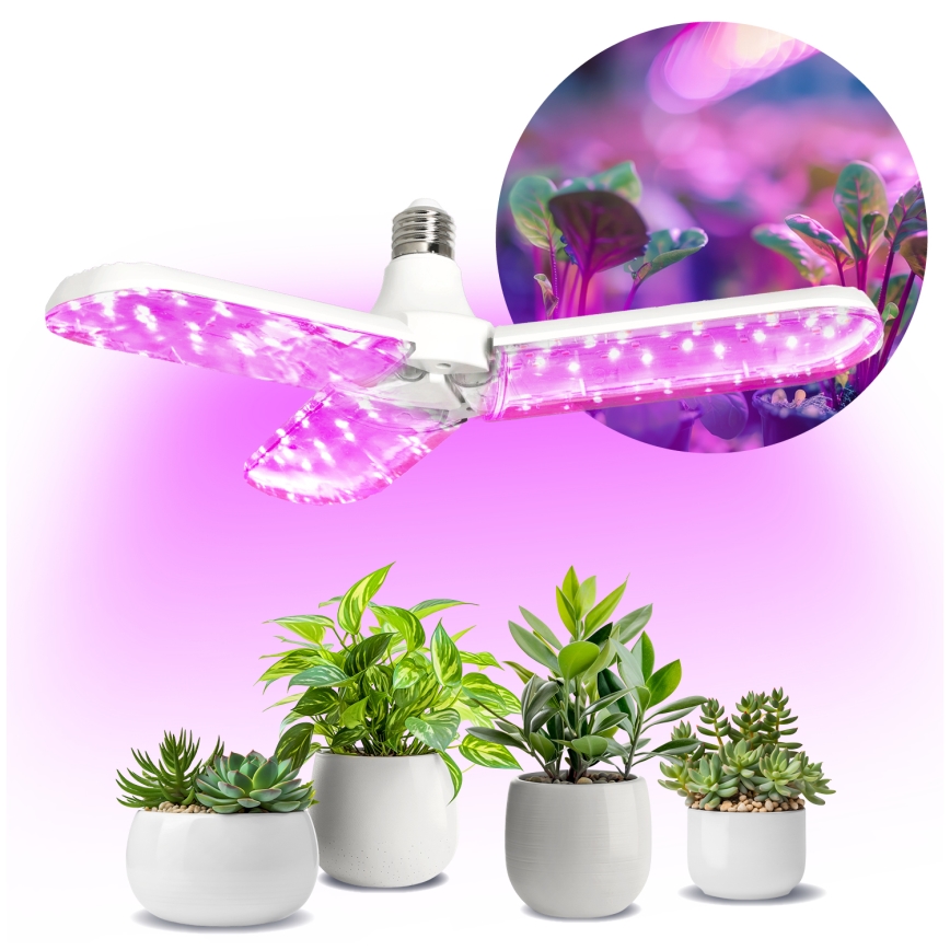 LED Lampadina per la crescita delle piante PLANTY E27/24W/230V 1200K