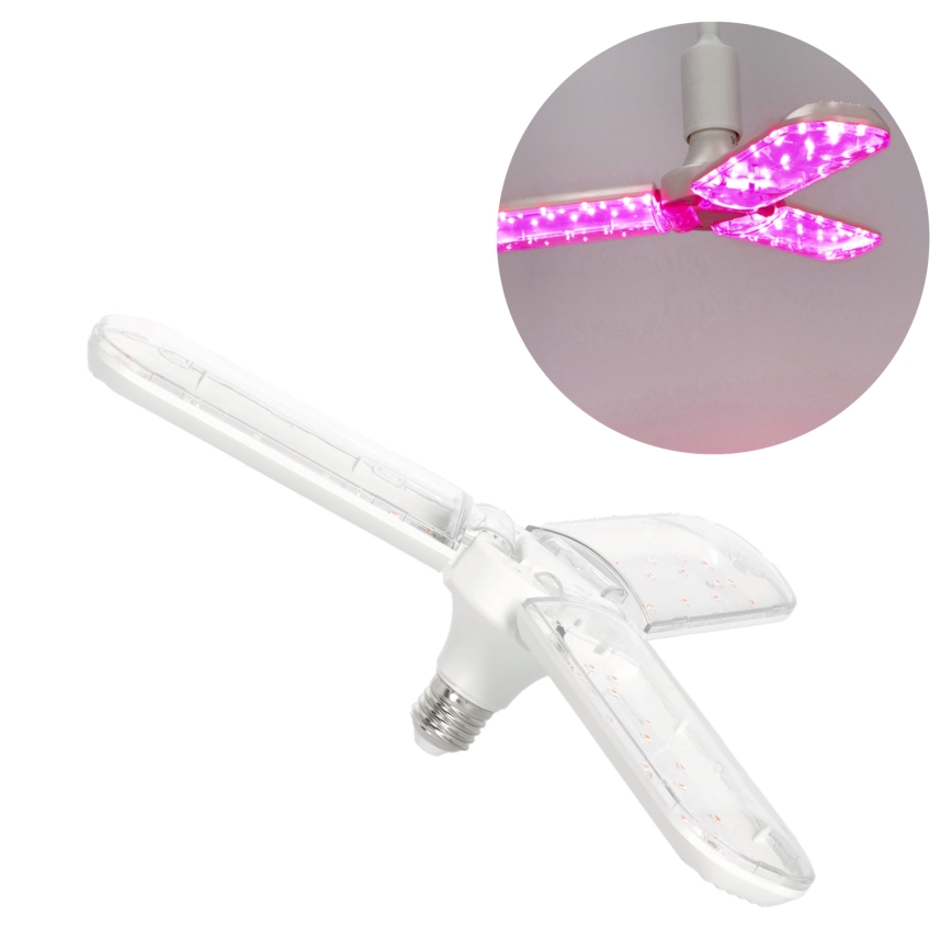 LED Lampadina per la crescita delle piante PLANTY E27/24W/230V 1200K