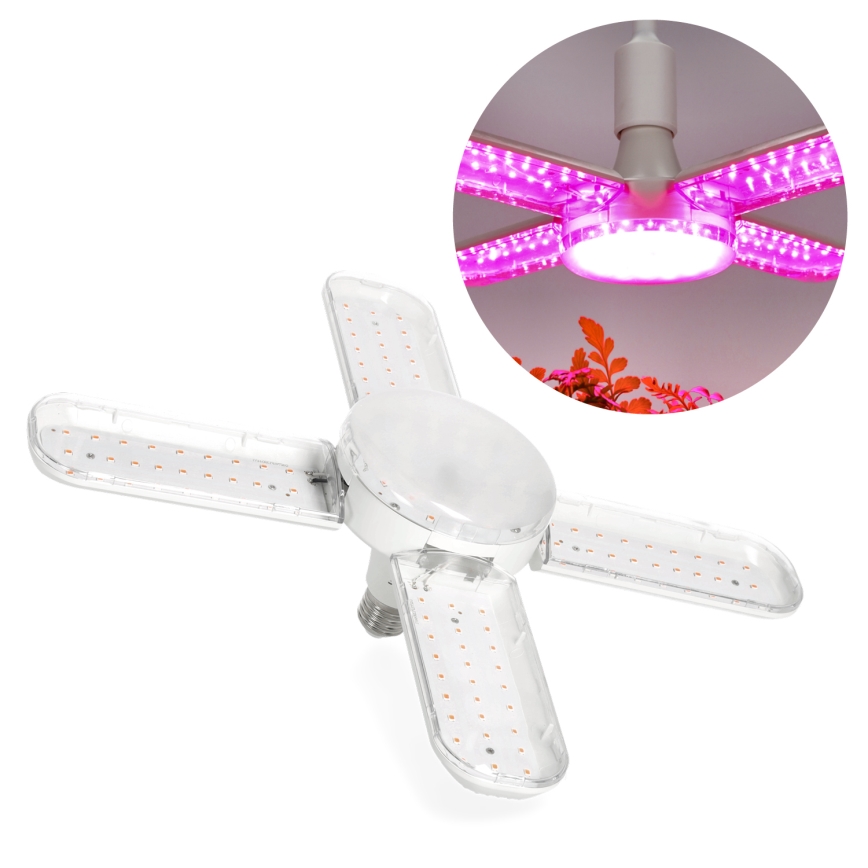 LED Lampadina per la crescita delle piante PLANTY E27/24W/230V 1200K