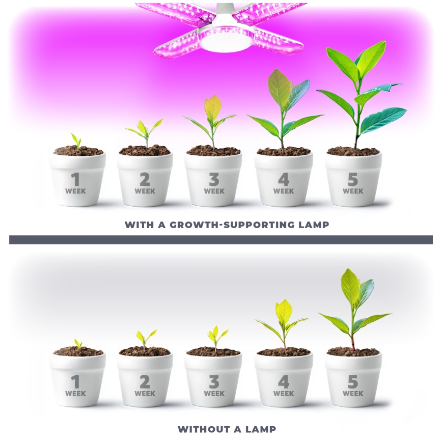 LED Lampadina per la crescita delle piante PLANTY E27/40W/230V 1200K