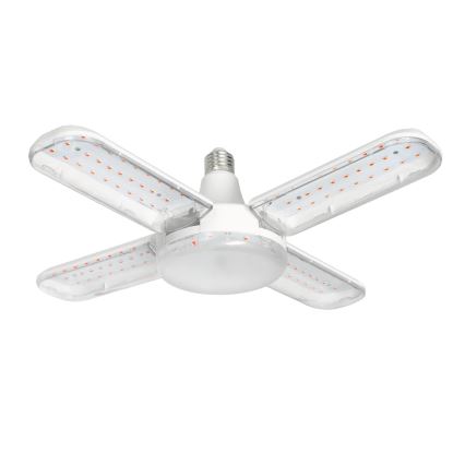 LED Lampadina per la crescita delle piante PLANTY E27/40W/230V 1200K