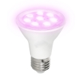 LED Lampadina per la crescita delle piante PLANTY E27/7W/230V 1200K bianco