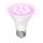 LED Lampadina per la crescita delle piante PLANTY E27/7W/230V 1200K bianco