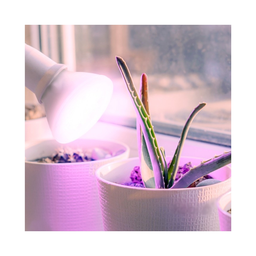 LED Lampadina per la crescita delle piante PLANTY E27/7W/230V 1200K bianco