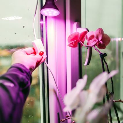 LED Lampadina per la crescita delle piante PLANTY E27/7W/230V 1200K nero