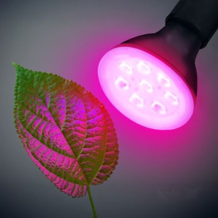 LED Lampadina per la crescita delle piante PLANTY E27/7W/230V 1200K nero
