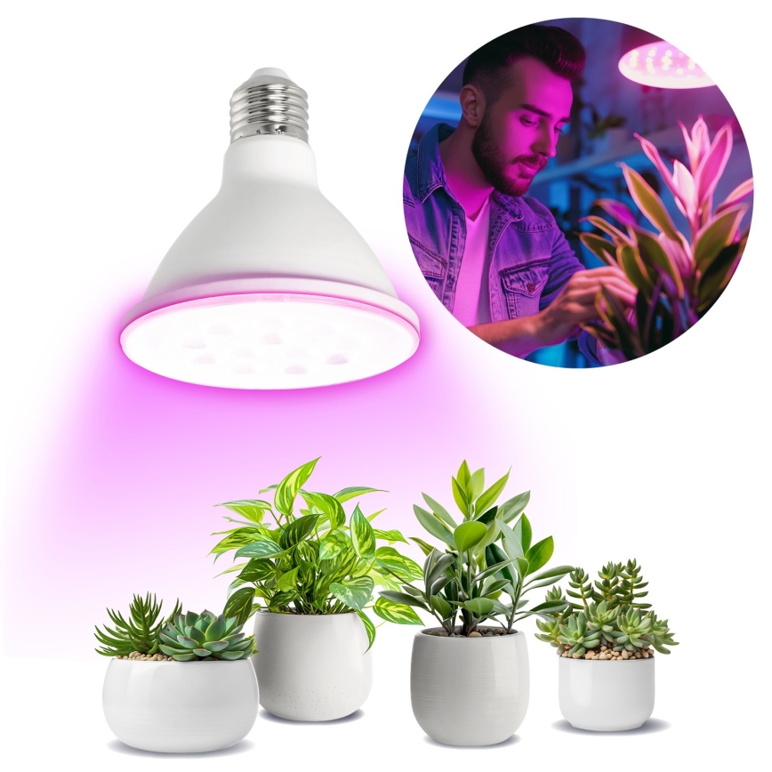 LED Lampadina per la crescita delle piante PLANTY E27/9W/230V 1200K bianco
