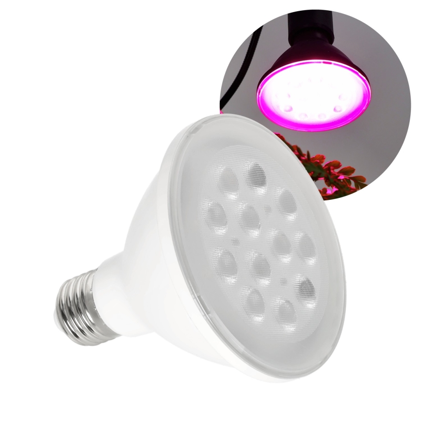 LED Lampadina per la crescita delle piante PLANTY E27/9W/230V 1200K bianco