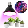 LED Lampadina per la crescita delle piante VITABLOOM E27/9W/230V 1200K nero - Brilagi