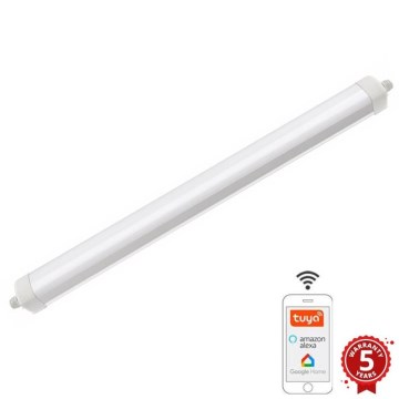 LED Luce dimmerabile per carichi pesanti LED/40W/230V 3000-6500K Wi-Fi Tuya IP65