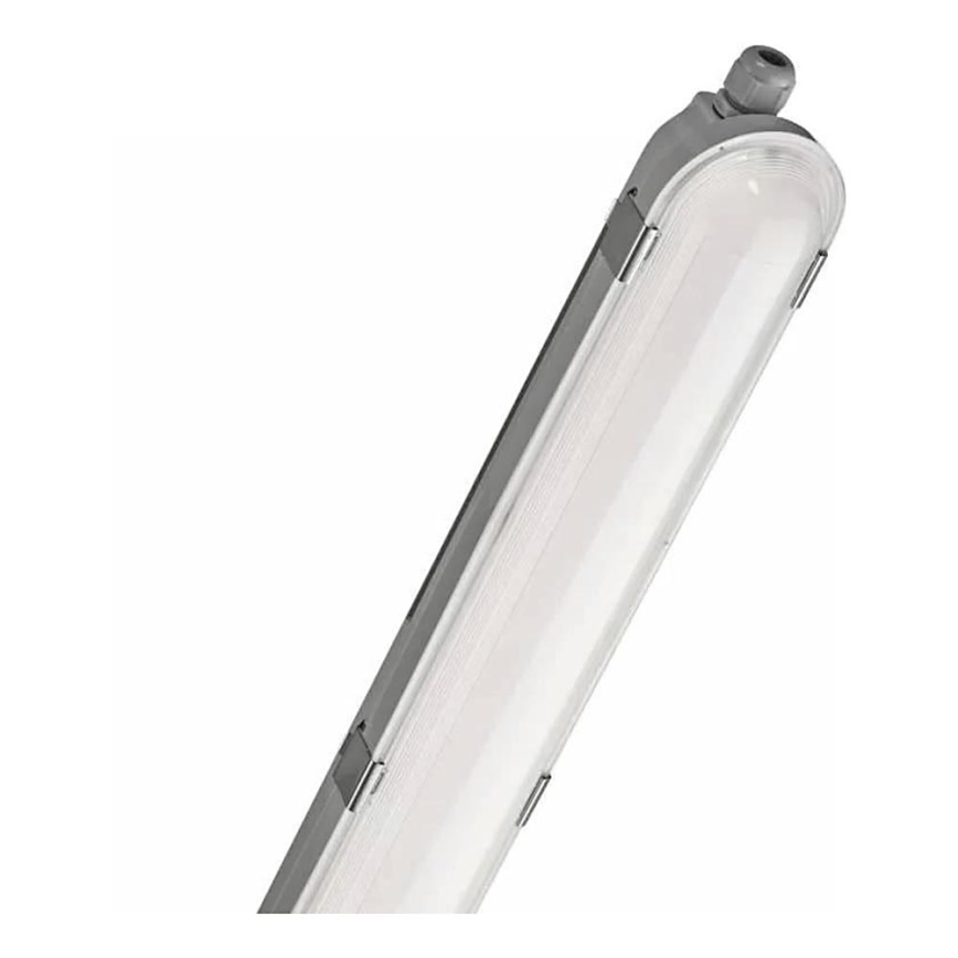 LED Luce per impieghi gravosi LED/56W/230V IP66 4000K