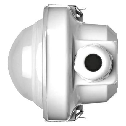 LED Luce per impieghi gravosi LED/56W/230V IP66 4000K