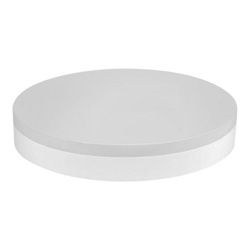 LED Pannello da bagno LED/30W/230V IP44