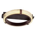 LED Pannello luminoso JESI LED/2W/230V 3000K marrone
