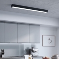 LED Plafoniera/Lampada sospesa con cavo LED/44W/230V 6000K 120 cm nero