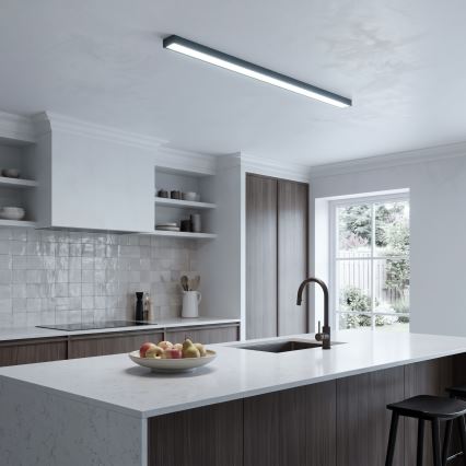 LED Plafoniera/Lampada sospesa con cavo LED/44W/230V 6000K 120 cm nero