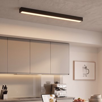 LED Plafoniera/Sospensione a cavo LED/44W/230V 3000K 120 cm nero
