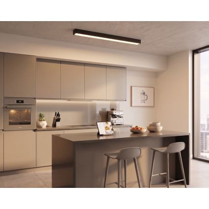 LED Plafoniera/Sospensione a cavo LED/44W/230V 3000K 120 cm nero