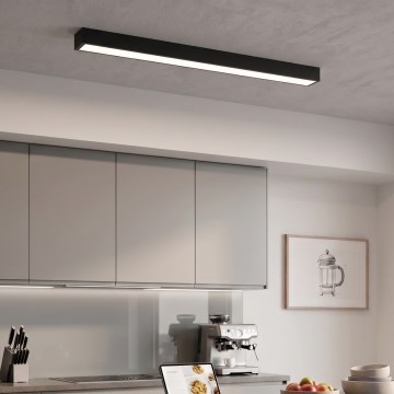 LED Plafoniera/sospensione a cavo LED/44W/230V 4000K 120 cm nero