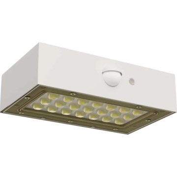 LED Proiettore solare con sensore di movimento LED/3,7V 1200mAh 4000K IP65 bianco