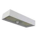 LED Proiettore solare con sensore di movimento LED/3,7V 3000mAh 4000K IP65 bianco