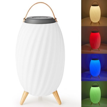 LED RGB Ricaricabile lampada da tavolo con altoparlante 60W/2200 mAh IPX5