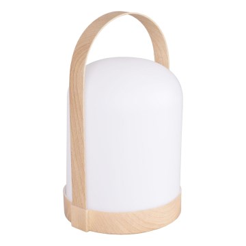 LED RGBW Lampada da tavolo decorativa MINORKA LED/0,3W/4,5V 3xAA