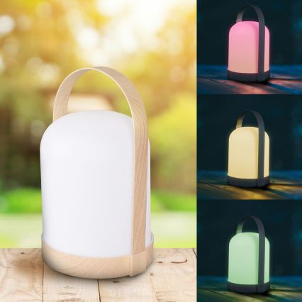 LED RGBW Lampada da tavolo decorativa MINORKA LED/0,3W/4,5V 3xAA