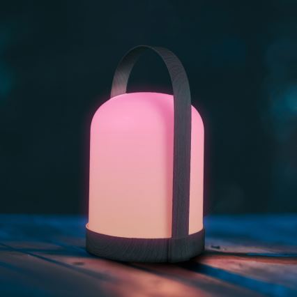 LED RGBW Lampada da tavolo decorativa MINORKA LED/0,3W/4,5V 3xAA