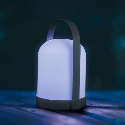 LED RGBW Lampada da tavolo decorativa MINORKA LED/0,3W/4,5V 3xAA