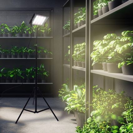 LED Riflettore con il supporto per la coltivazione di piante FIRON LED/45W/230V IP54 nero