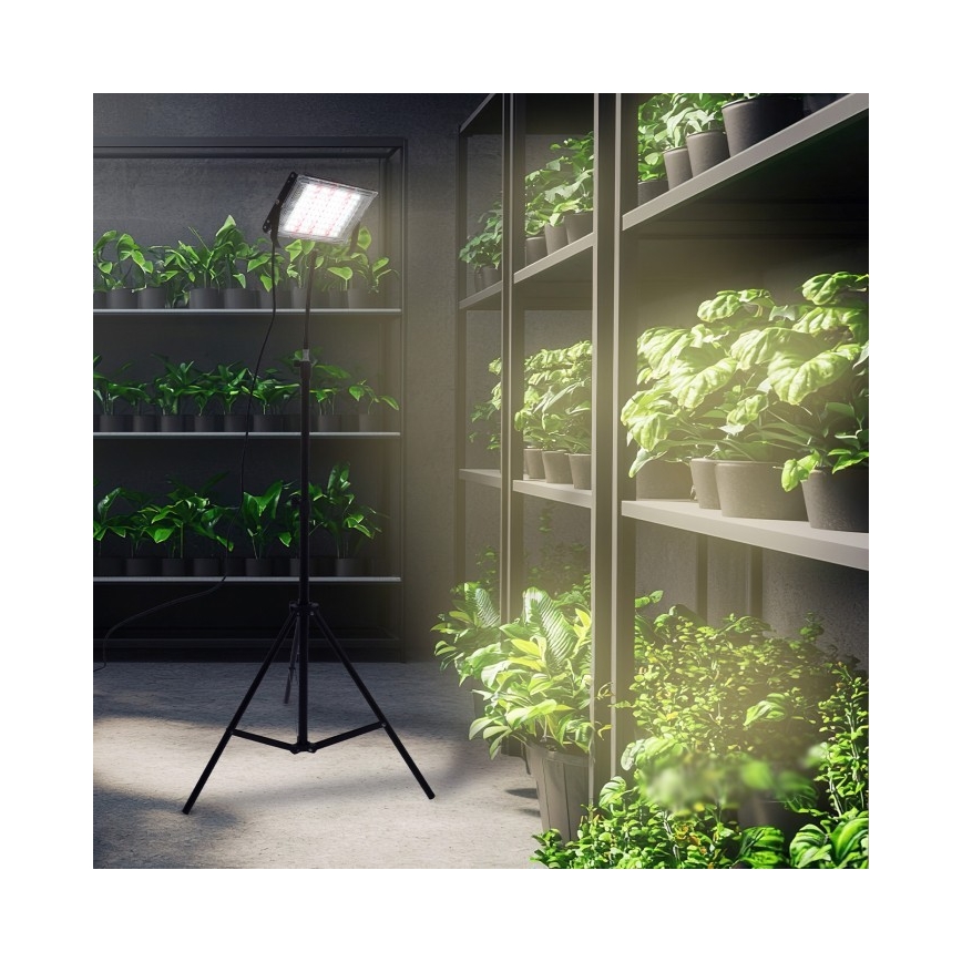 LED Riflettore con il supporto per la coltivazione di piante FIRON LED/45W/230V IP54 nero