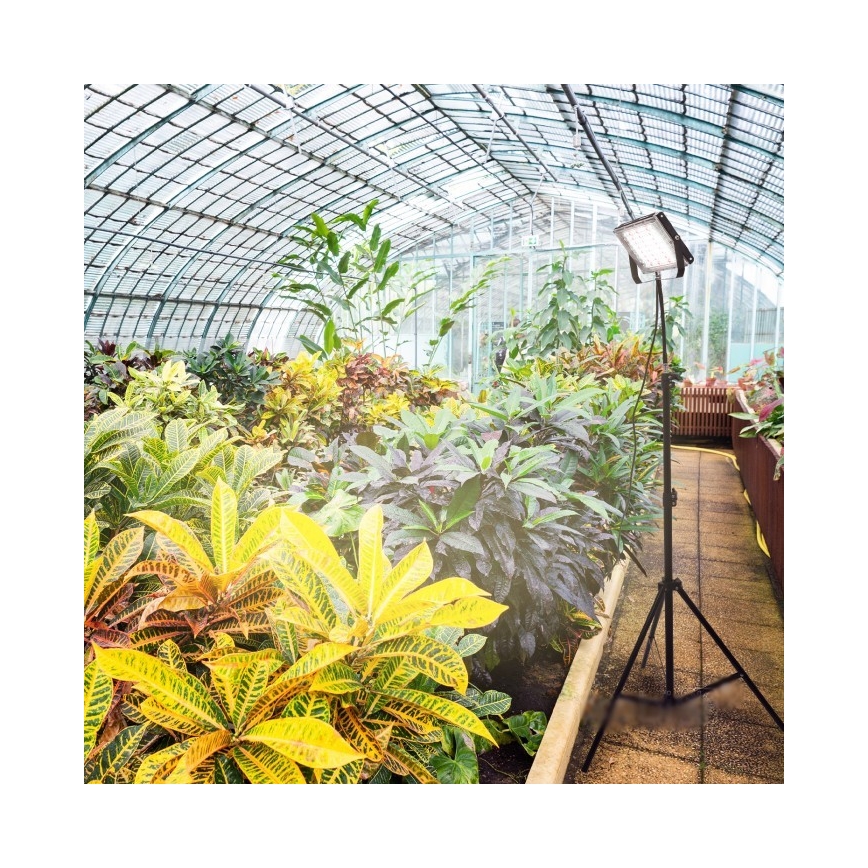 LED Riflettore con il supporto per la coltivazione di piante FIRON LED/45W/230V IP54 nero