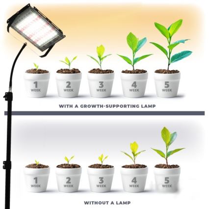 LED Riflettore con il supporto per la coltivazione di piante FIRON LED/45W/230V IP54 nero
