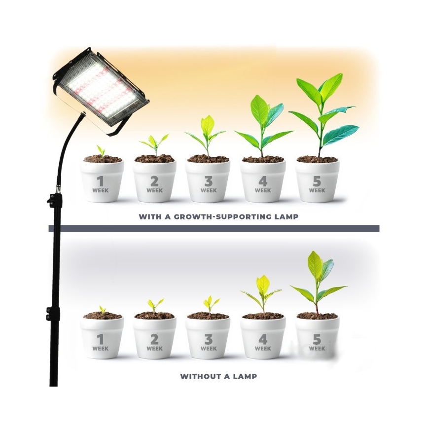 LED Riflettore con il supporto per la coltivazione di piante FIRON LED/45W/230V IP54 nero