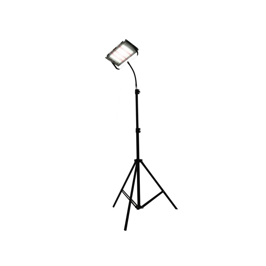 LED Riflettore con il supporto per la coltivazione di piante FIRON LED/45W/230V IP54 nero