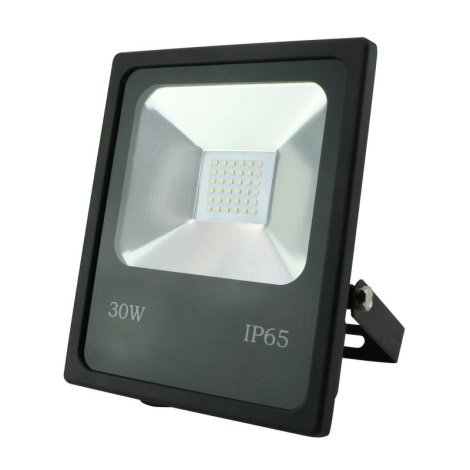 LED Riflettore R1482 SANDY LED/30W/230V IP65