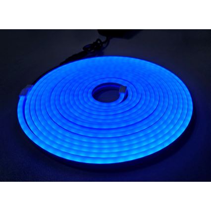 LED Striscia flessibile NEON LED/10W/230V 5 m IP65 blu