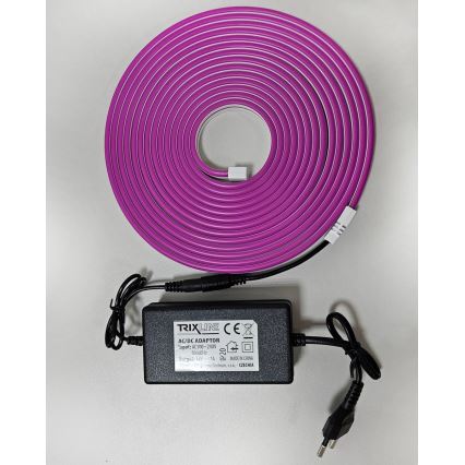 LED Striscia flessibile NEON LED/10W/230V 5 m IP65 viola