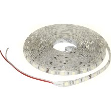 LED striscia per bagni 5m bianco freddo IP65