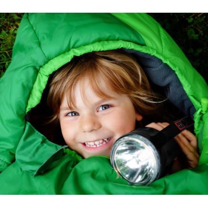 LED Torcia ricaricabile LED/5V 500 lm 1200 mAh nera