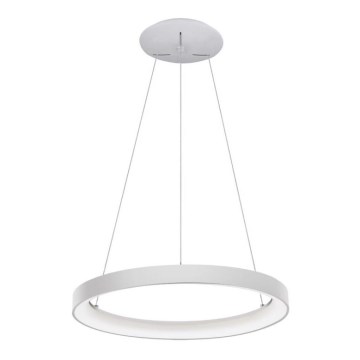 LED2 - Lampadario a LED su una stringa BELLA LED/48W/230V 3000K/4000K bianco