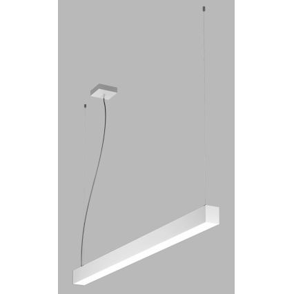 LED2 - Lampadario a LED su una stringa NOLI LED/40W/230V 3000K/3500K/4000K bianco