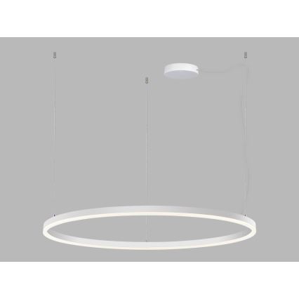 LED2 - Lampadario a sospensione con filo LED dimmerabile CIRCLE LED/80W/230V 3000K/4000K diametro 100 cm bianco