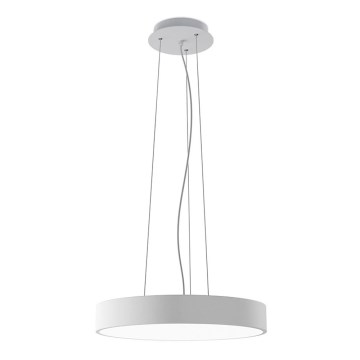 LED2 - Lampadario LED a cavo MONO SLIM LED/30W/230V 3000K/4000K Ø 40 cm bianco